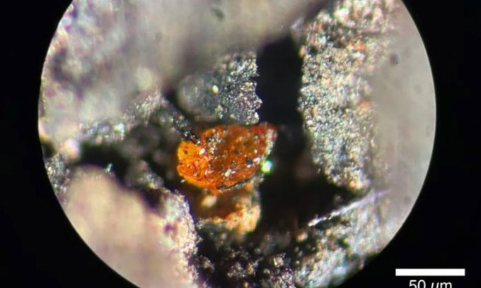 Picture 1 of The first block of amber discovered in Antarctica