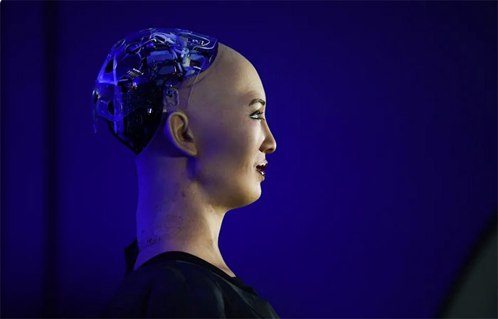 Picture 3 of The first robot with citizenship that once said 'destroy humanity' is about to have more 'em'