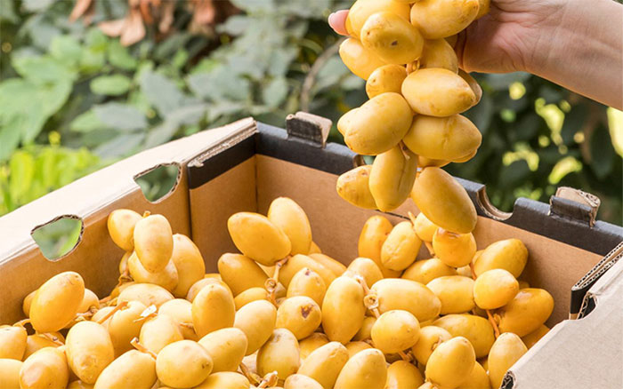Picture 4 of The fruit that Dubai calls 'desert pearl' helps lower blood sugar very well