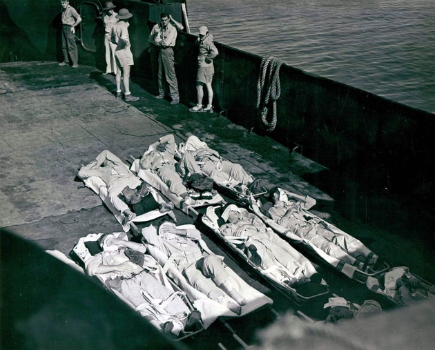 Picture 4 of The God of the Sea: Find the biggest shark attack ever recorded in history!