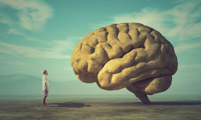 Picture 1 of The growing brain affects human health