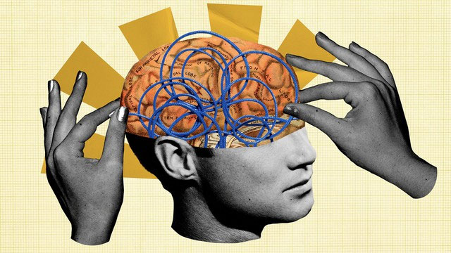 Picture 3 of The hidden fuel of the human brain: How gut bacteria shape intelligence?