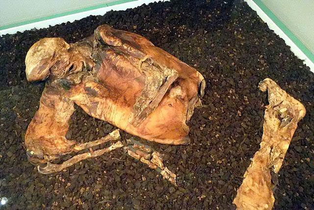 The intact 2,000-year-old man's mummy reveals a creepy sacrifice Picture 1