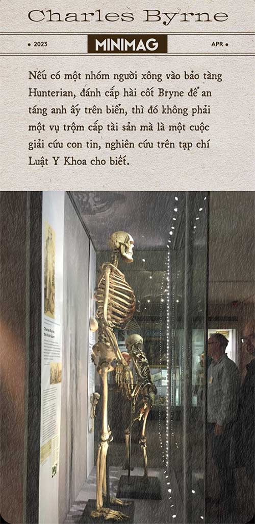 Picture 14 of The Irish Giant: The Most Controversial Tragedy in British History