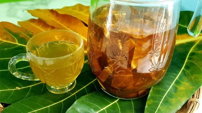 The leaves are 'golden medicinal herbs' that help lower blood sugar, purify the kidneys, eliminate uric acid, and prevent heart disease. Picture 2