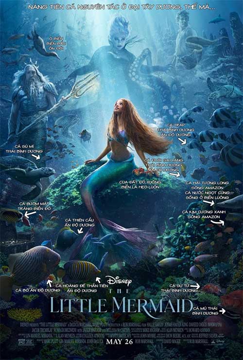 Picture 1 of 'The Little Mermaid' movie poster mocked for containing basic scientific errors