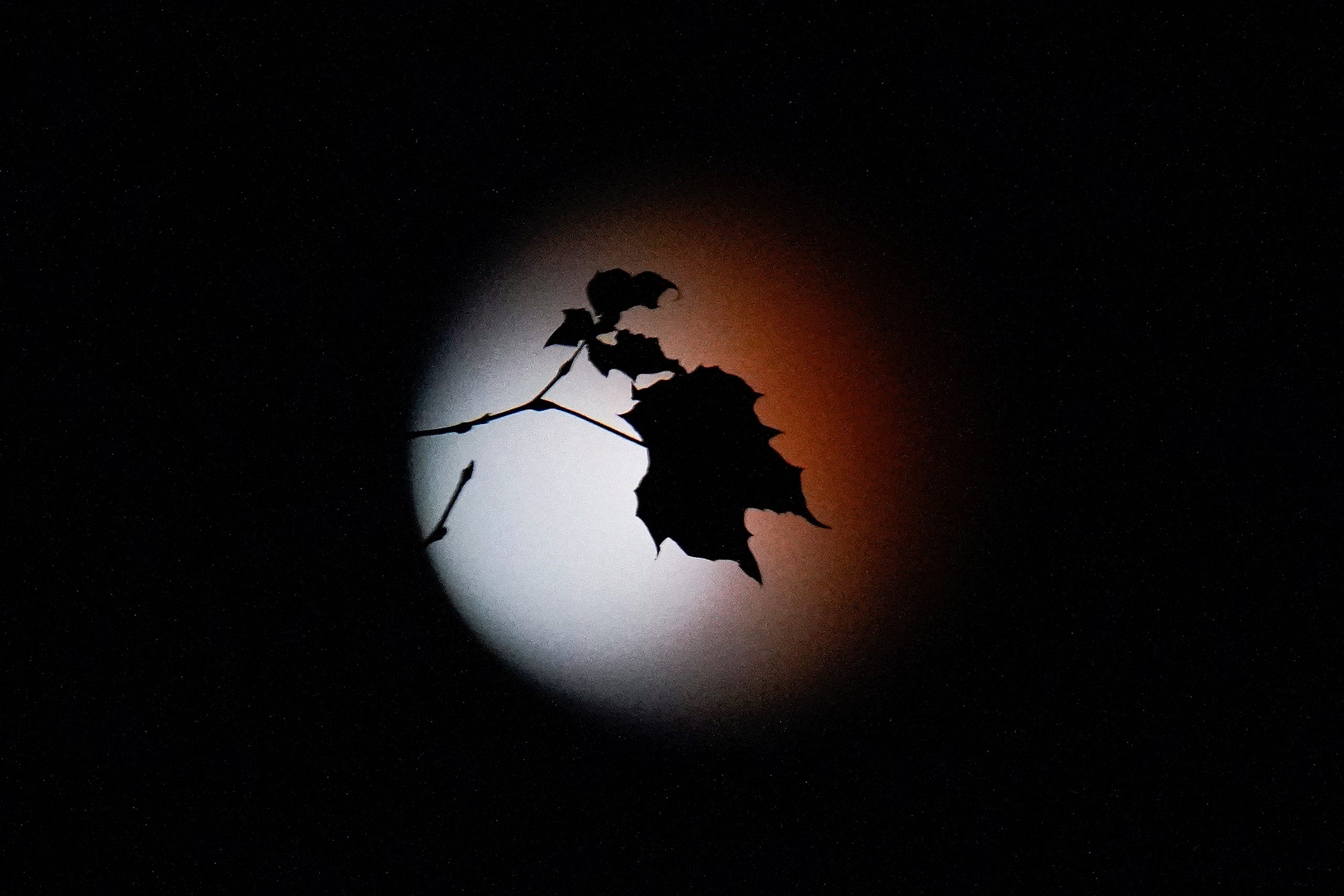 The longest series of photos of the 'blood moon' in 580 years around the world Picture 2