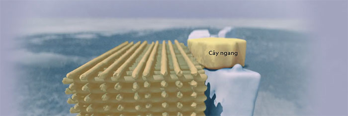 Picture 15 of The millennial mystery of Stonehenge is finally solved: Clear and detailed!