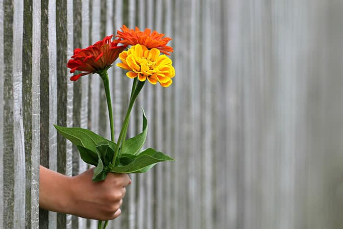 The most effective 'sociers' all have these 5 habits Picture 3