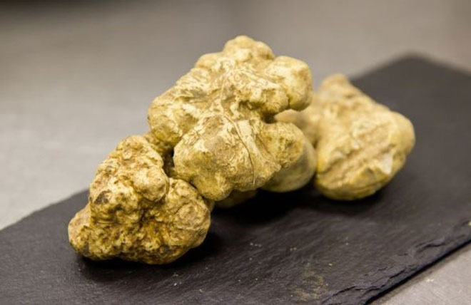 The most expensive foods in the world Picture 11