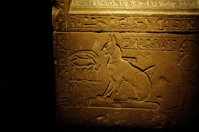 The most famous real cats in human history Picture 8
