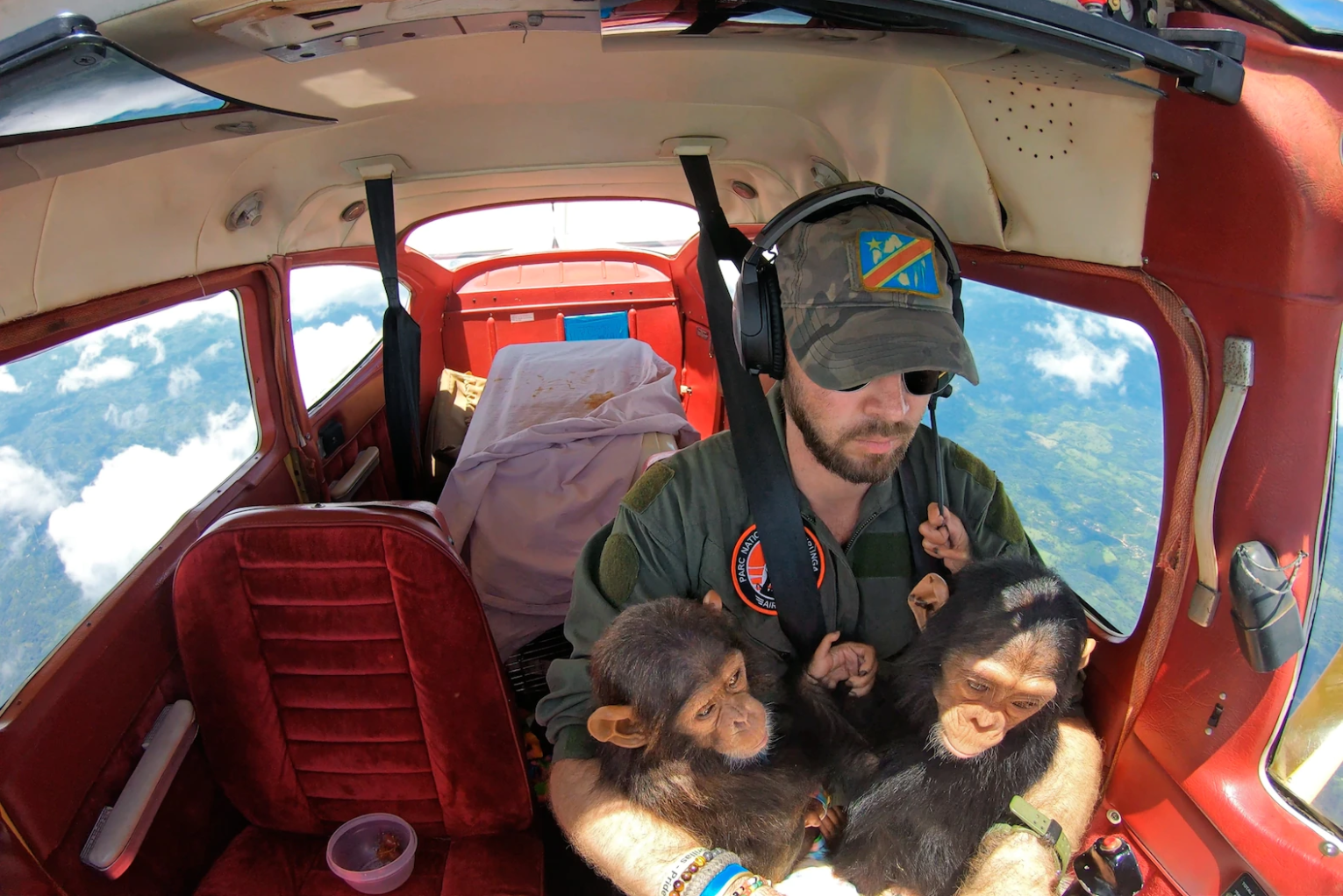 Picture 7 of The most impressive animal photos of 2021