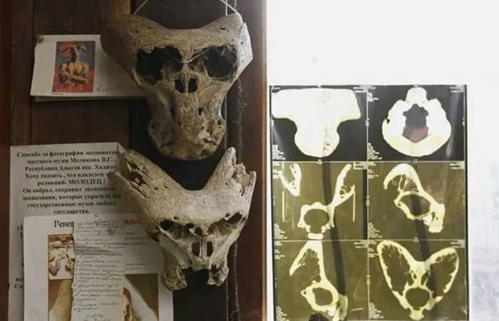 The mysterious organization and the top secret agents of the Nazis - part 1 Picture 3