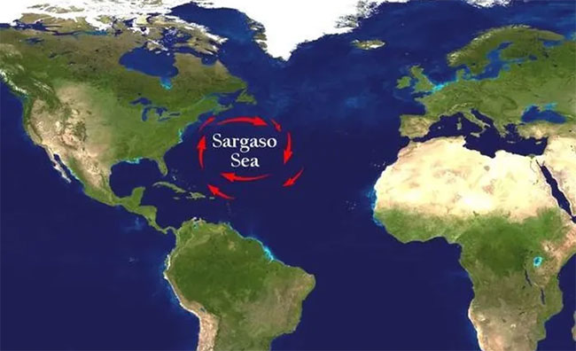Picture 1 of The mysterious sea is compared to Bermuda: 4 sides are windless, but ships pass by and disappear strangely