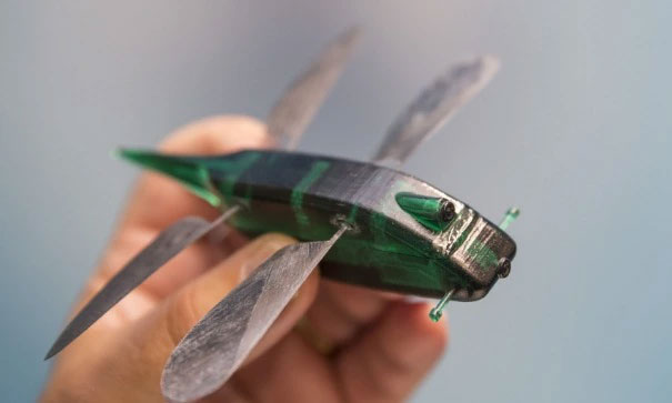 Picture 1 of The Mystery of Biology: Why Can't We Build Airplanes With Wings Like Dragonflies?