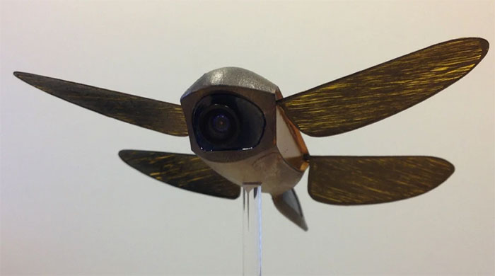 Picture 3 of The Mystery of Biology: Why Can't We Build Airplanes With Wings Like Dragonflies?