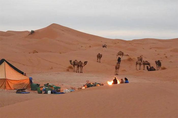 Picture 2 of The mystery of brick houses with many holes in the desert: Knowing the effect will surprise everyone!