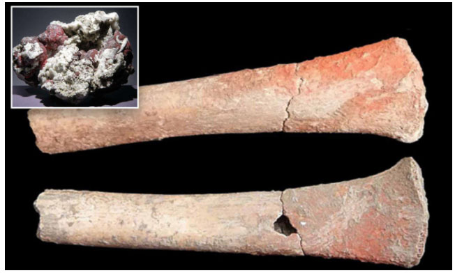 Picture 1 of The mystery of deaths 5,000 years ago related to mercury poisoning