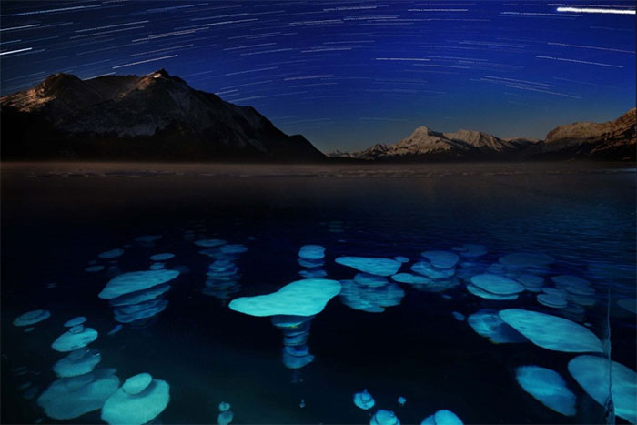 Picture 4 of The mystery of 'frozen' bubbles at Lake Abraham