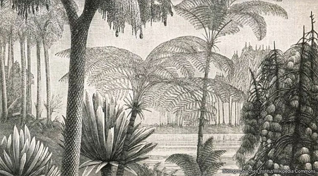 Picture 7 of The mystery of the 11 mass extinctions on Earth and the prediction of the 12th event