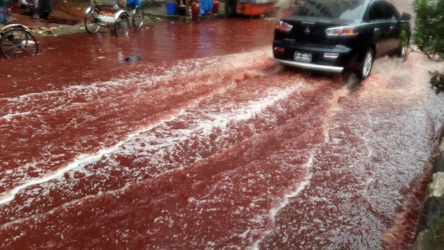 Picture 1 of The mystery of the 'blood rain' that appears continuously in India