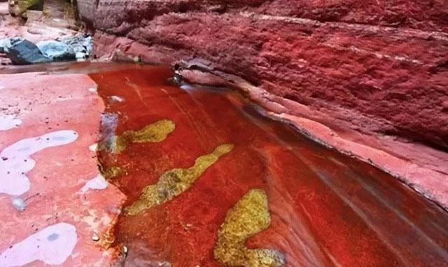 Picture 3 of The mystery of the 'blood rain' that appears continuously in India