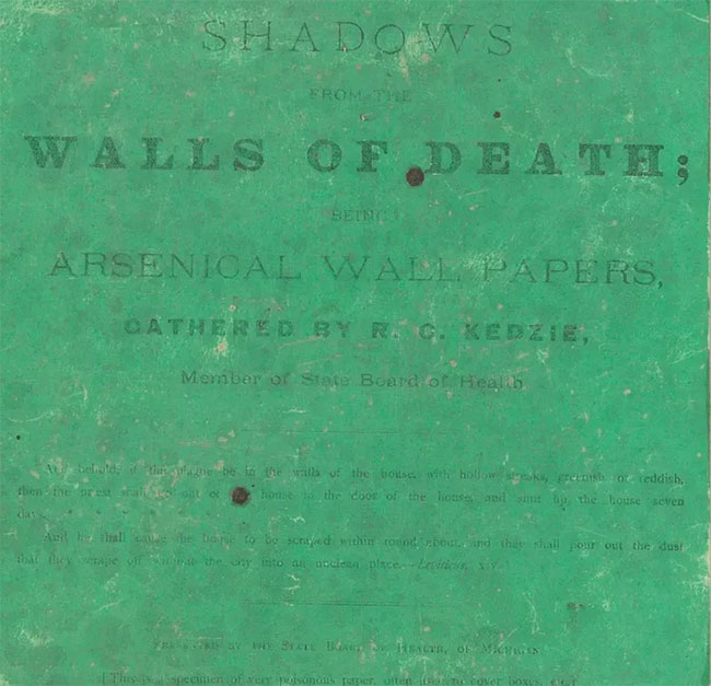 Picture 4 of The mystery of the book that can kill readers