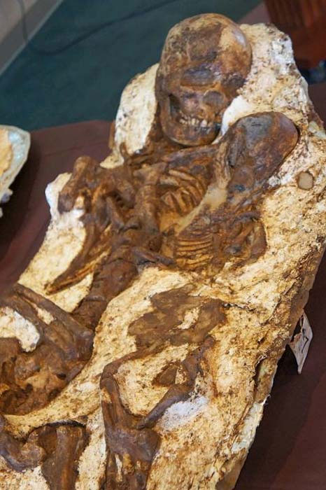 The mystery of the mother's skeleton was found still carrying the baby after 4800 years Picture 2