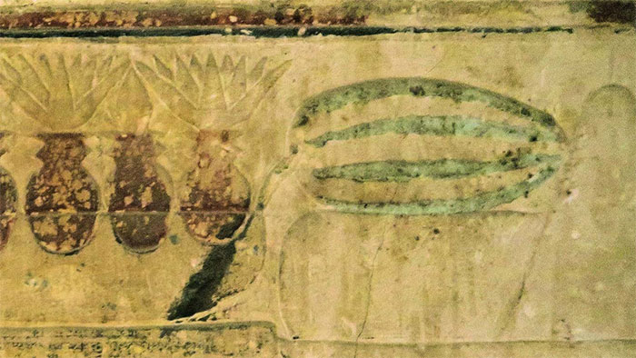 Picture 3 of The mystery of the origin of the watermelon may have been solved.