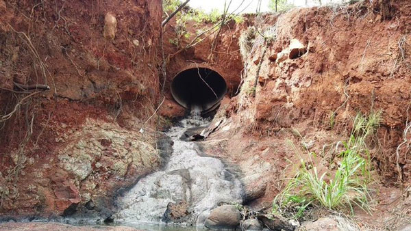 The mystery of the smelly stream... the strong beer in Hawaii is solved Picture 1