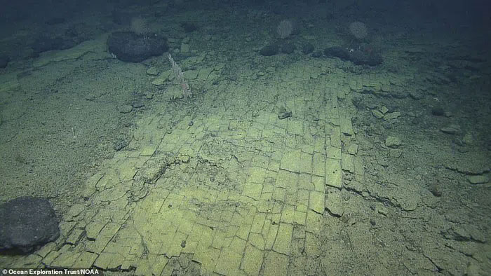 Picture 1 of The mystery of the yellow brick road on the bottom of the Pacific Ocean