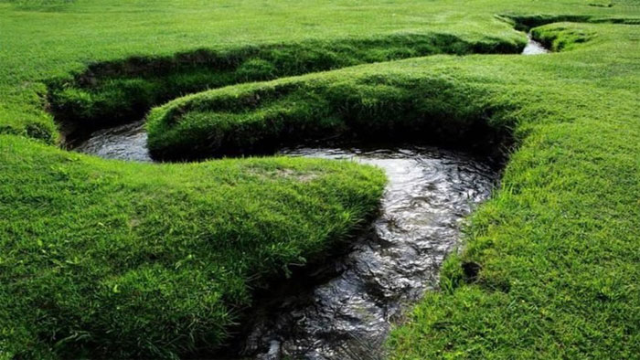 The narrowest river in the world is only a few centimeters wide Picture 1