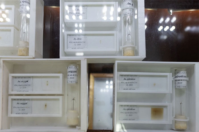 Picture 14 of The only museum not for the faint of heart in Vietnam
