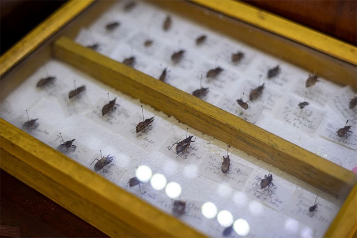 Picture 15 of The only museum not for the faint of heart in Vietnam