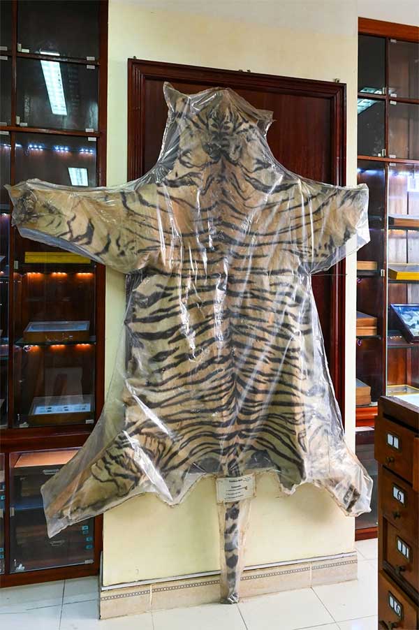 Picture 16 of The only museum not for the faint of heart in Vietnam