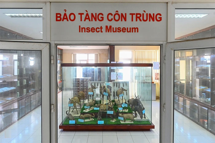 Picture 17 of The only museum not for the faint of heart in Vietnam