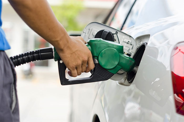 Picture 1 of The persistent 'battle' of a scientist in the journey to eliminate leaded gasoline globally