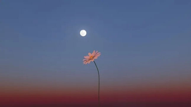 Picture 1 of The Pink Moon appears amid the oldest meteor shower