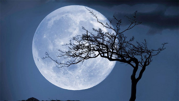 Picture 3 of The rarest astronomical phenomena in the world