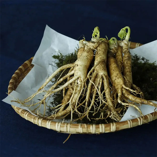 Picture 3 of The real effects of ginseng on health