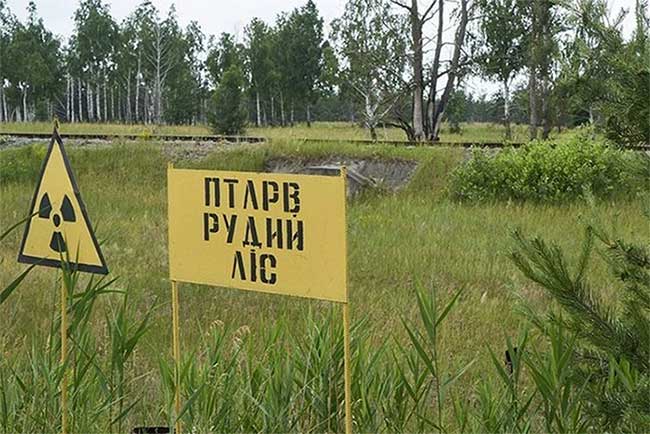 Picture 3 of The risk of leaking radioactive waste across Europe from the Chernobyl nuclear plant