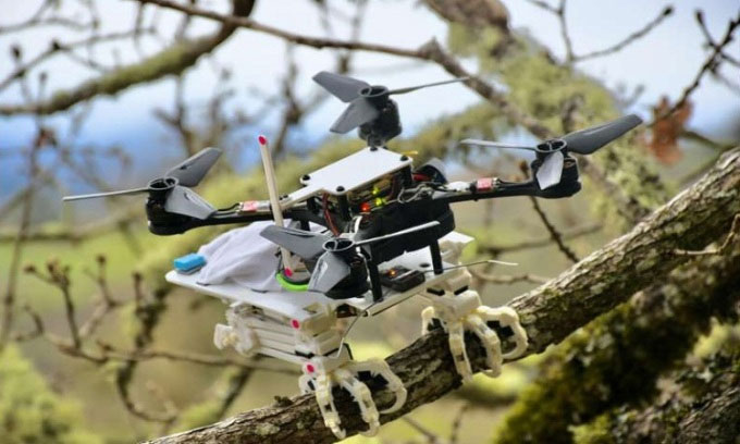The robot has magical legs of a bird, can sit on a tree branch, and dress like a 'real thing' Picture 1