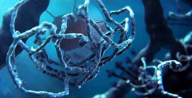 Picture 2 of The Scary Truth About Inbreeding: The Curse of Genes, Nature's Last Line of Defense!