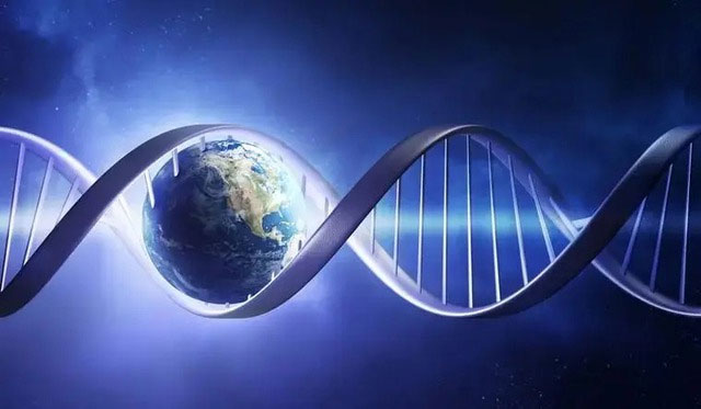 Picture 4 of The Scary Truth About Inbreeding: The Curse of Genes, Nature's Last Line of Defense!