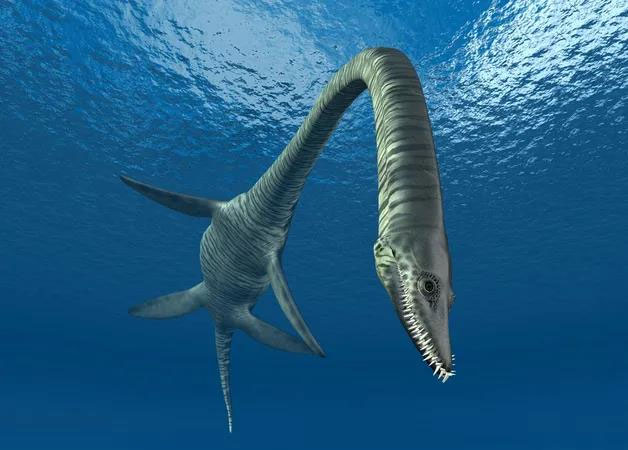 Picture 1 of The shocking part that upgrades the Jurassic 'snake head' into a monster