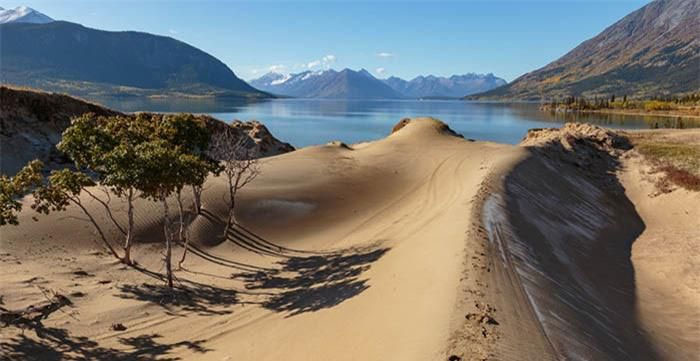 Picture 4 of The small desert is full of mysteries but scientists still can't explain it