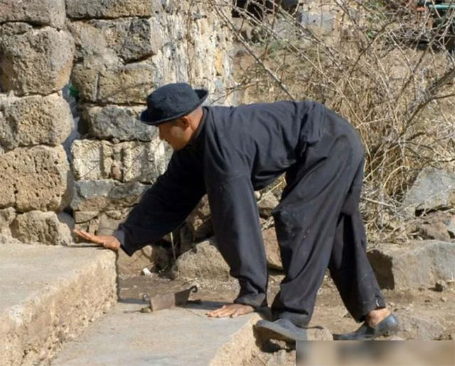 Picture 1 of The strange 'cow village', no one knows how to walk, can only crawl on 4 legs