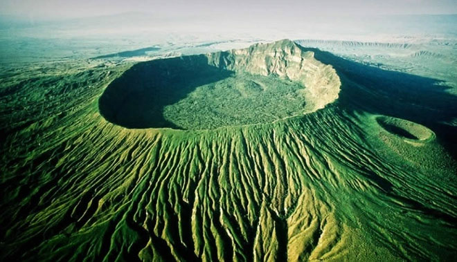 The strange forest located in the crater Picture 1