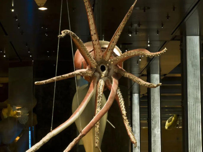 Picture 16 of The strangest finds at the bottom of the ocean