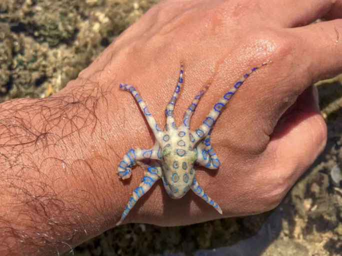 Picture 19 of The strangest finds at the bottom of the ocean